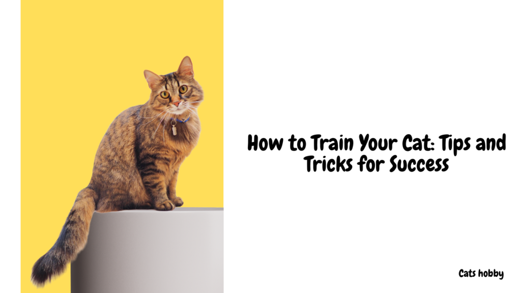 How to Train Your Cat