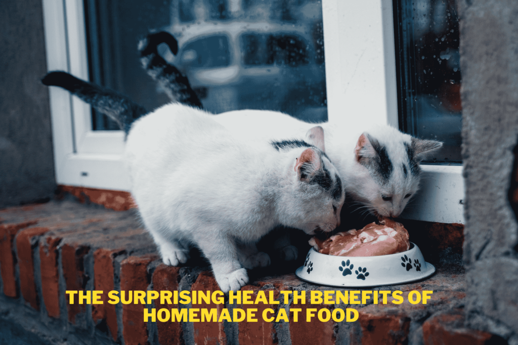 The Surprising Health Benefits of Homemade Cat Food