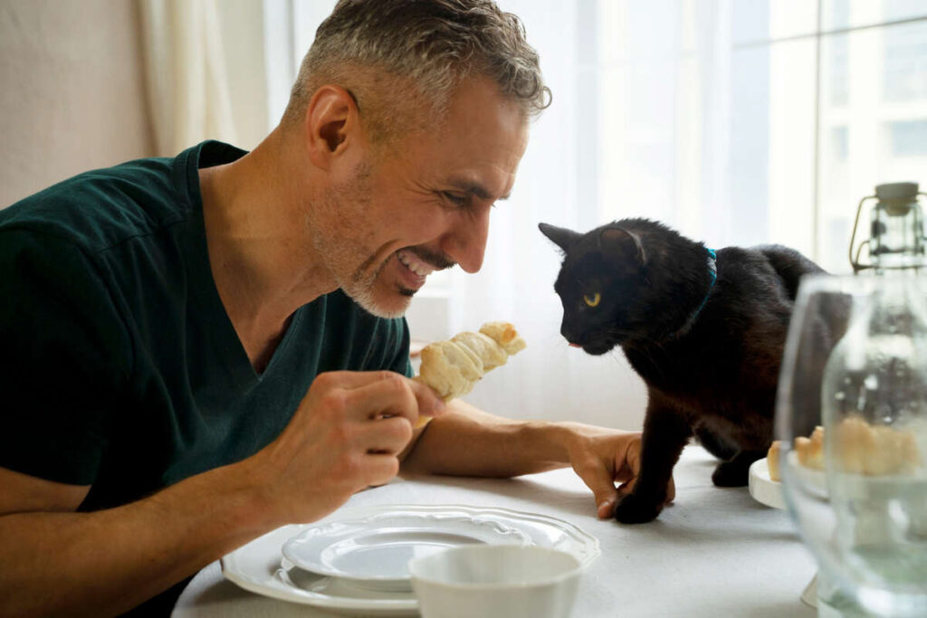 Cat Person Food: Your Complete Guide to a Cat’s Diet 